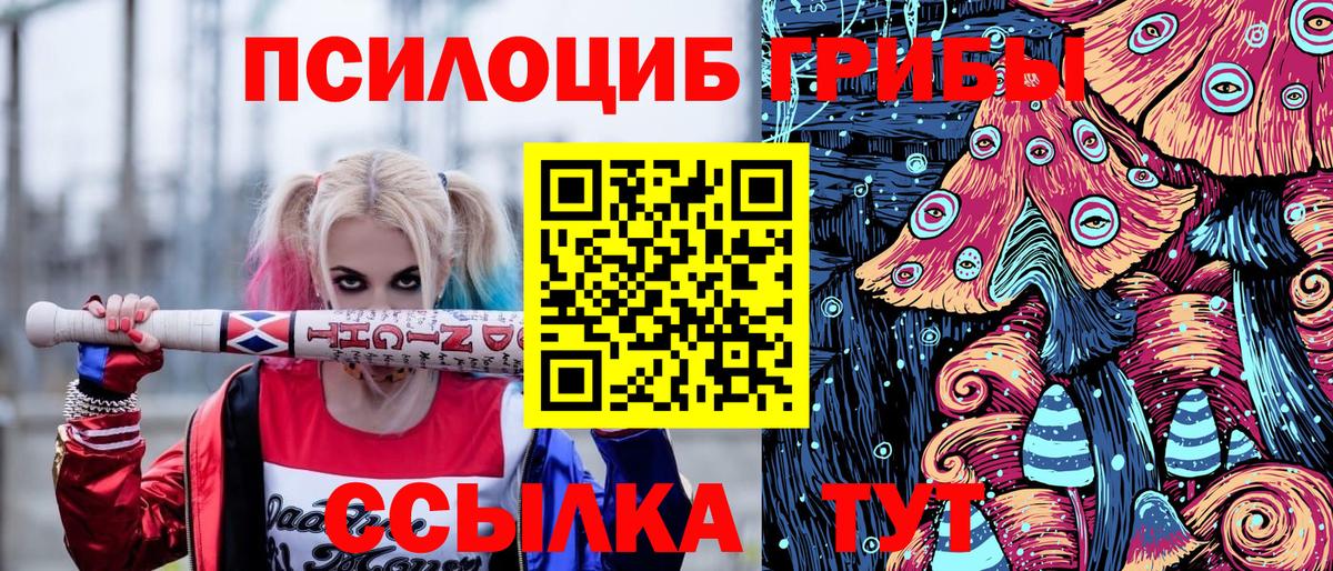 Псилоцибиновые грибы прущие грибы Сочи