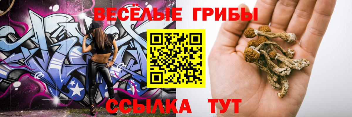 Псилоцибиновые грибы MAGIC MUSHROOMS  Вход с VPN  Сочи  Псилоцибиновые грибы прущие грибы 